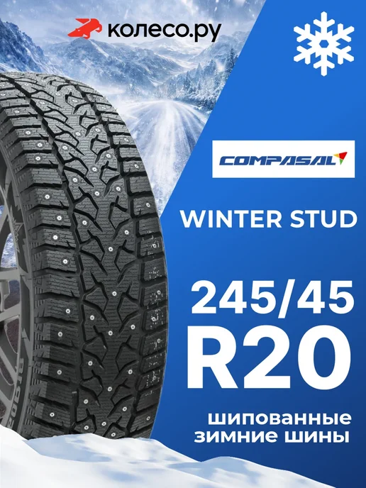 Шины зимние R20 245 45 103 T Winter Stud